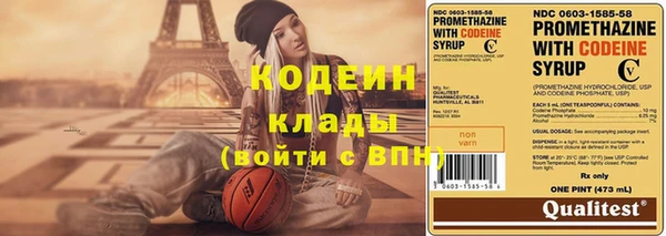 сатива Волоколамск