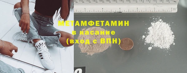 сатива Волоколамск