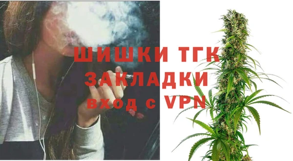 сатива Волоколамск