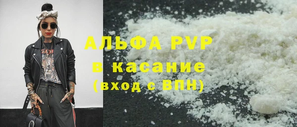 сатива Волоколамск