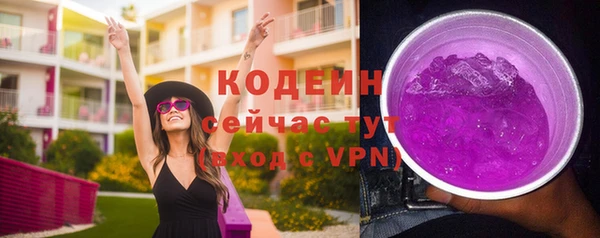 сатива Волоколамск