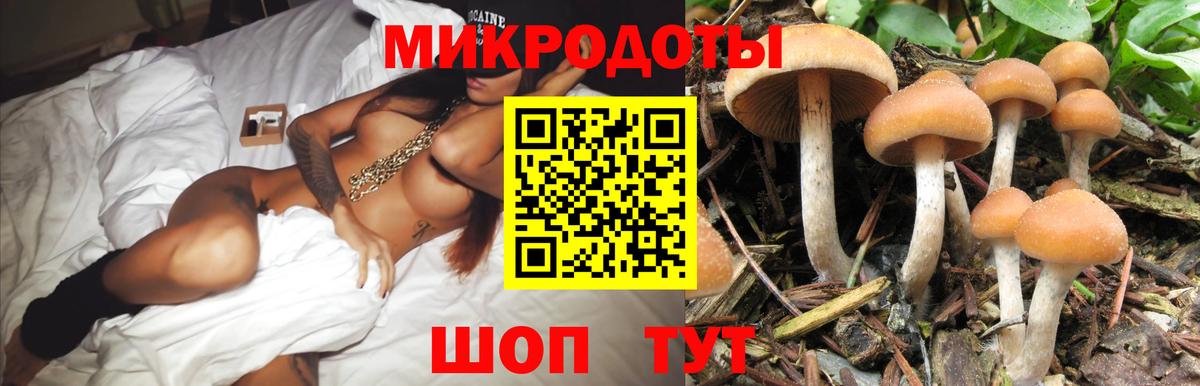 Славянск-на-Кубани  Псилоцибиновые грибы Magic Shrooms  Вход с VPN 