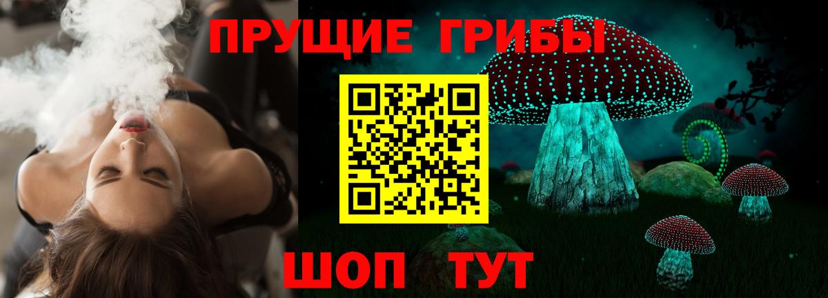 Галлюциногенные грибы Psilocybine cubensis Славянск-на-Кубани